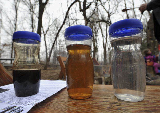 Tapping maple syrup
